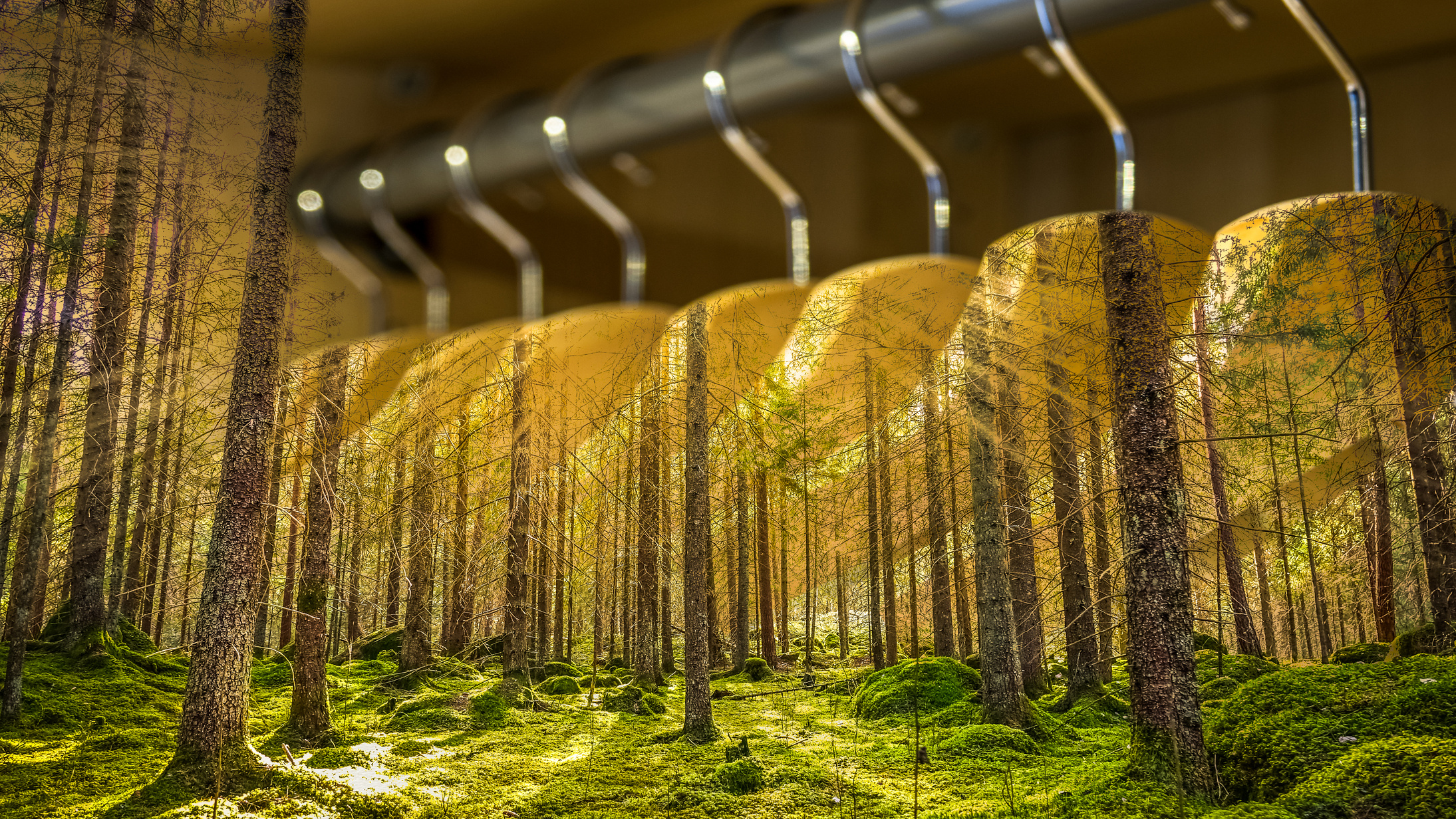 Clothes hanger with dresses in the forest.